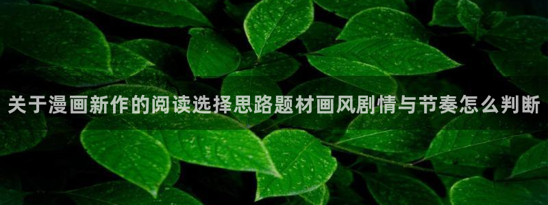漫蛙漫画人气榜:关于漫画新作的阅读选择思路题材画风剧情与节奏怎么判断