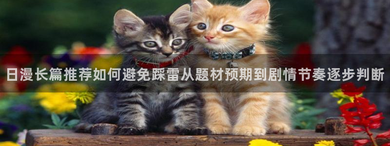 漫蛙漫画在线:日漫长篇推荐如何避免踩雷从题材预期到剧情节奏逐步判断